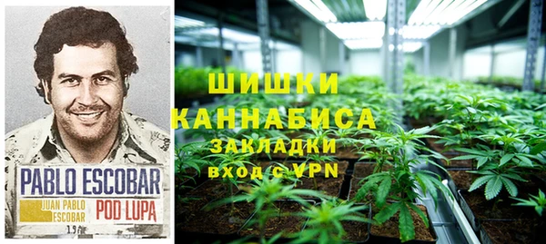 гидра Белоозёрский