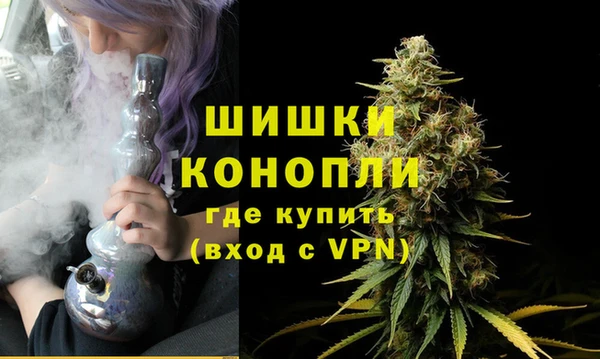 эйфоретик Богданович
