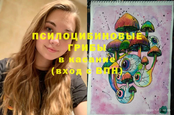 эйфоретик Богданович