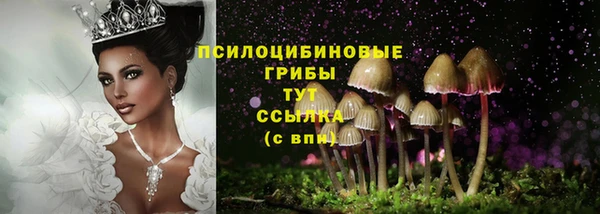 не бодяженный Белокуриха