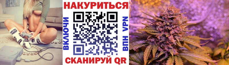 Конопля OG Kush  Купить  Невельск 